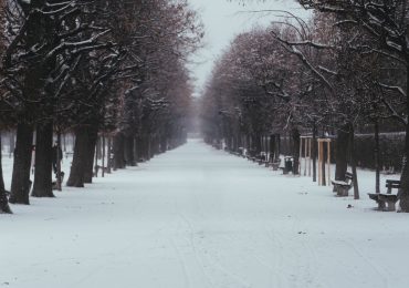 Augarten_Winter